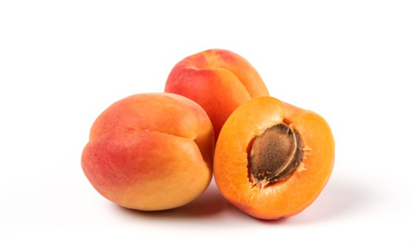 Apricot