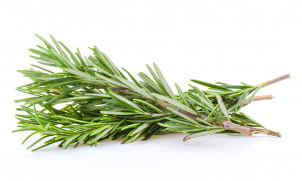 Rosemary