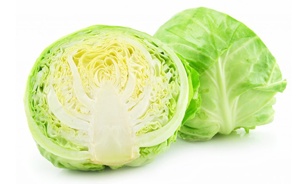 Cabbage