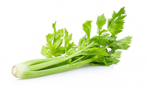 Celery