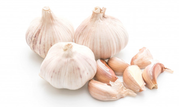 Garlic