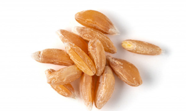 Spelt