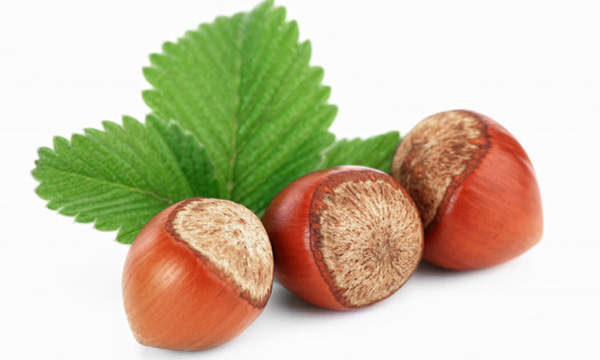 Hazelnut