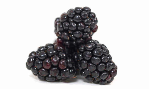 Frozen Blackberries