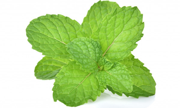 Peppermint