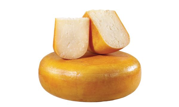 Gouda