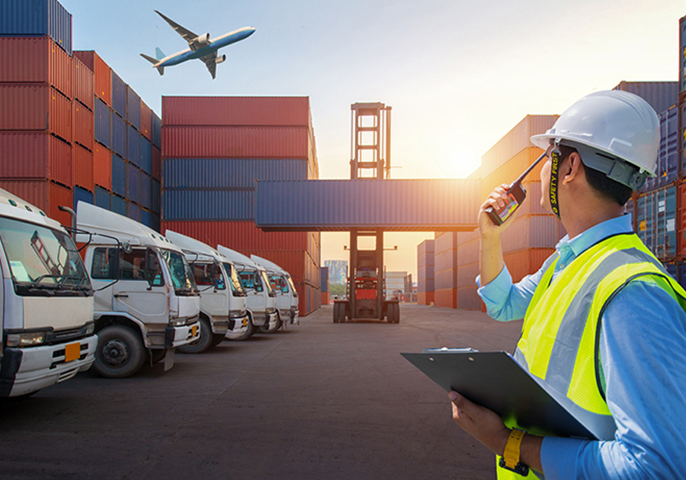 Customs representation, forwarding